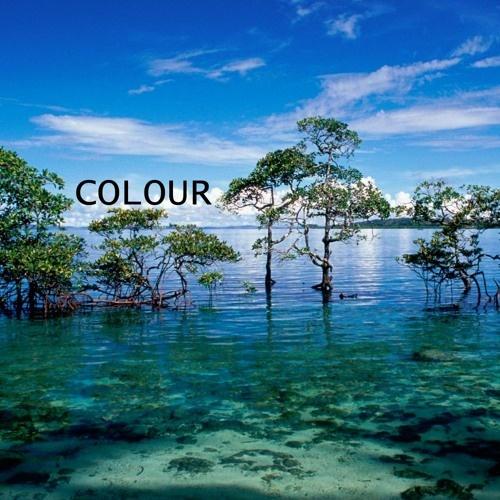 Colour