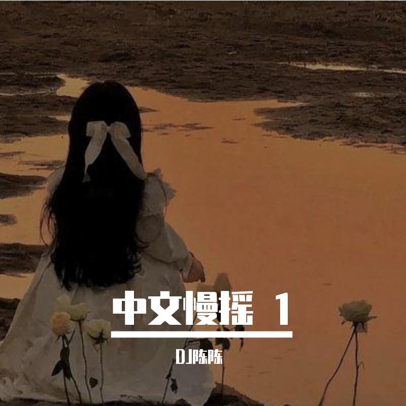 《如果我是DJ你会爱我吗》音乐平台首发（DJ陈陈 / 怀集YG ）