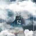 嘉儿（Kari）专辑