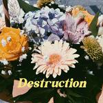 Destruction专辑