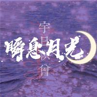 情人节 - 安少宇(192kbps,cd)