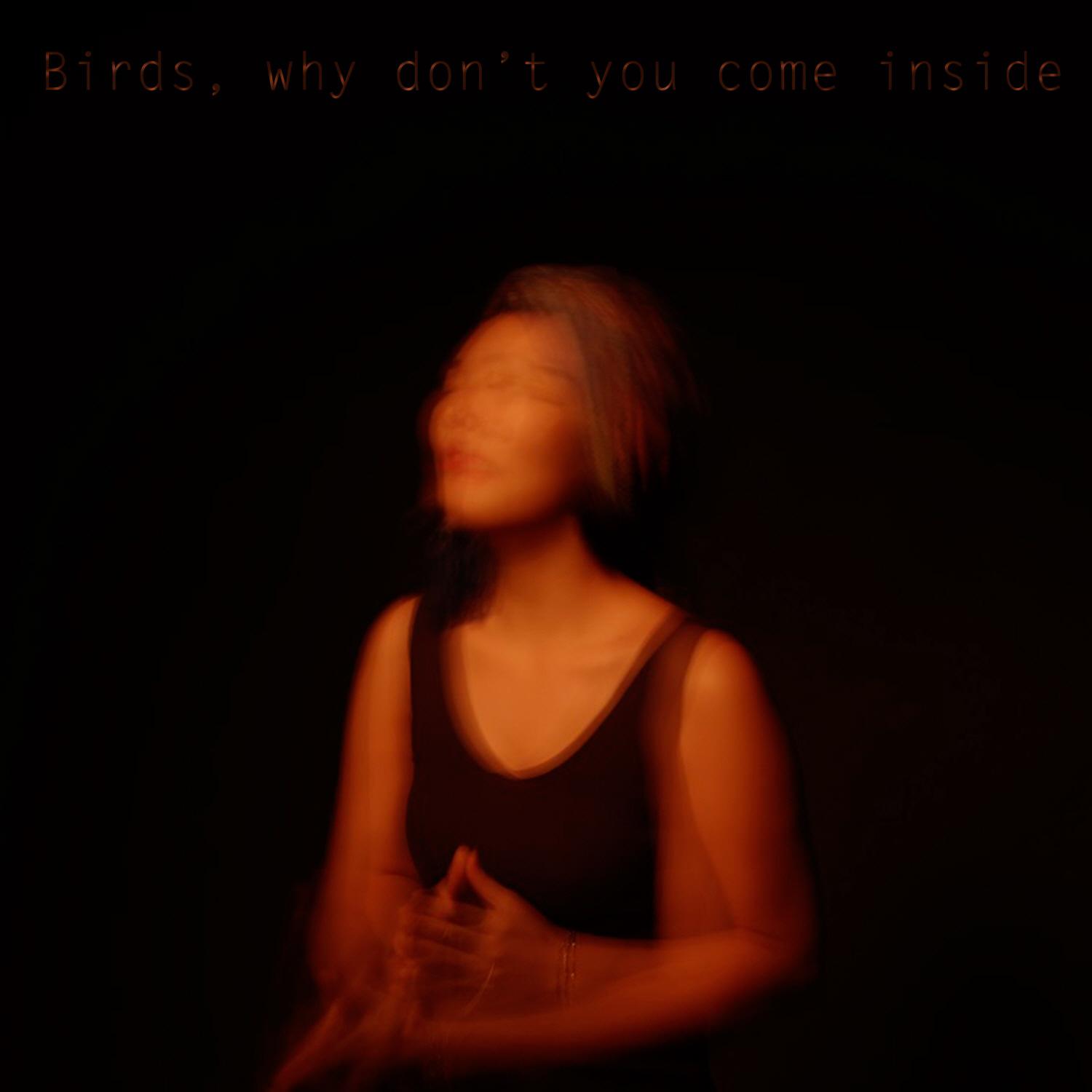 Birds, why don’t you come inside专辑