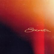 Señorita（翻自 Shawn Mendes）