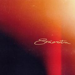 Señorita（翻自 Shawn Mendes）