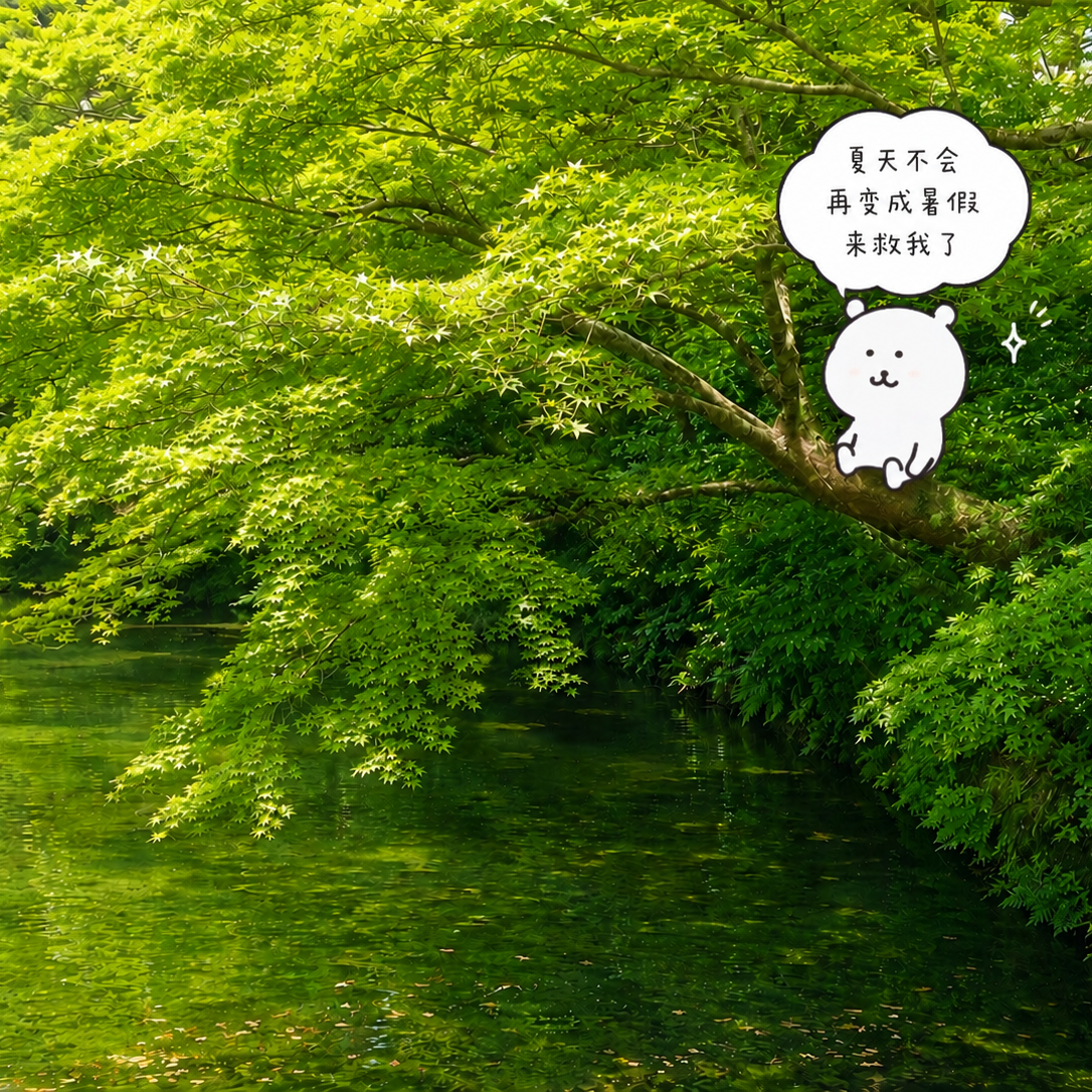 夏天不会再变成暑假来救我了