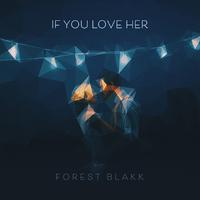 Forest Blakk - If You Love Her (Pr Karaoke) 带和声伴奏
