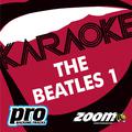 Zoom Karaoke - The Beatles 1