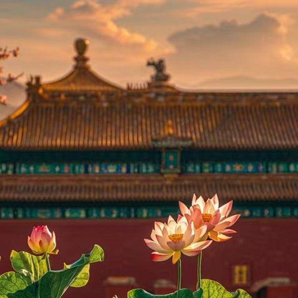 偏我来时不逢春专辑