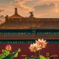 偏我来时不逢春