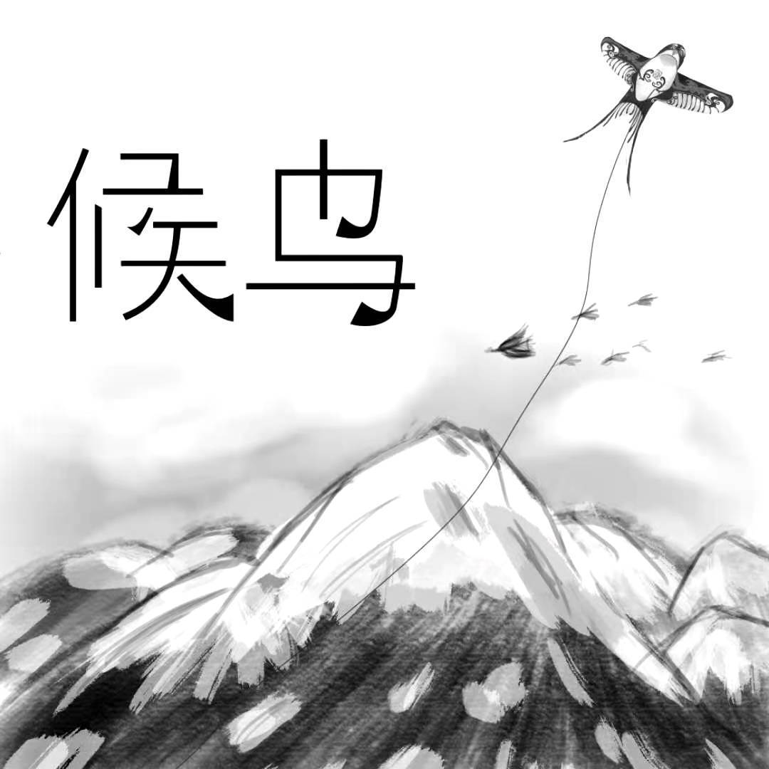候鸟