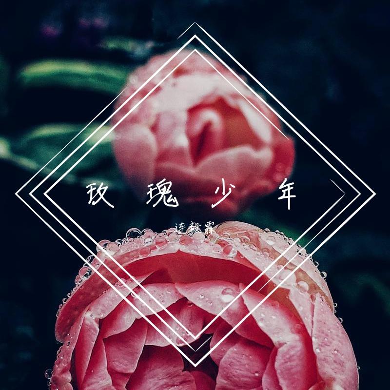 玫瑰少年
