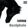 Gaminho - Bucéphale