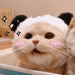 二次元二次元