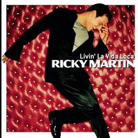 Livin' La Vida Loca - Ricky Martin (unofficial Instrumental)