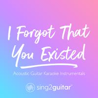 Taylor Swift - Acoustic Guitar Instrumental ( 吉他伴奏全集18首 )re Not Sorry Acoustic Gui