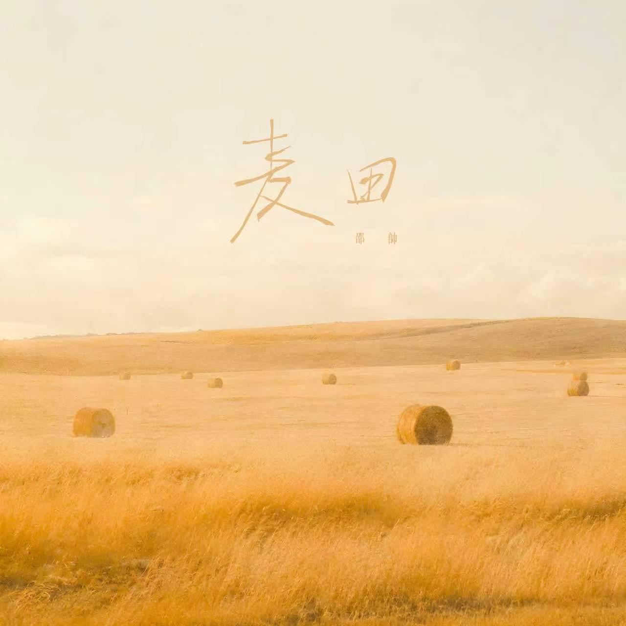 麦田