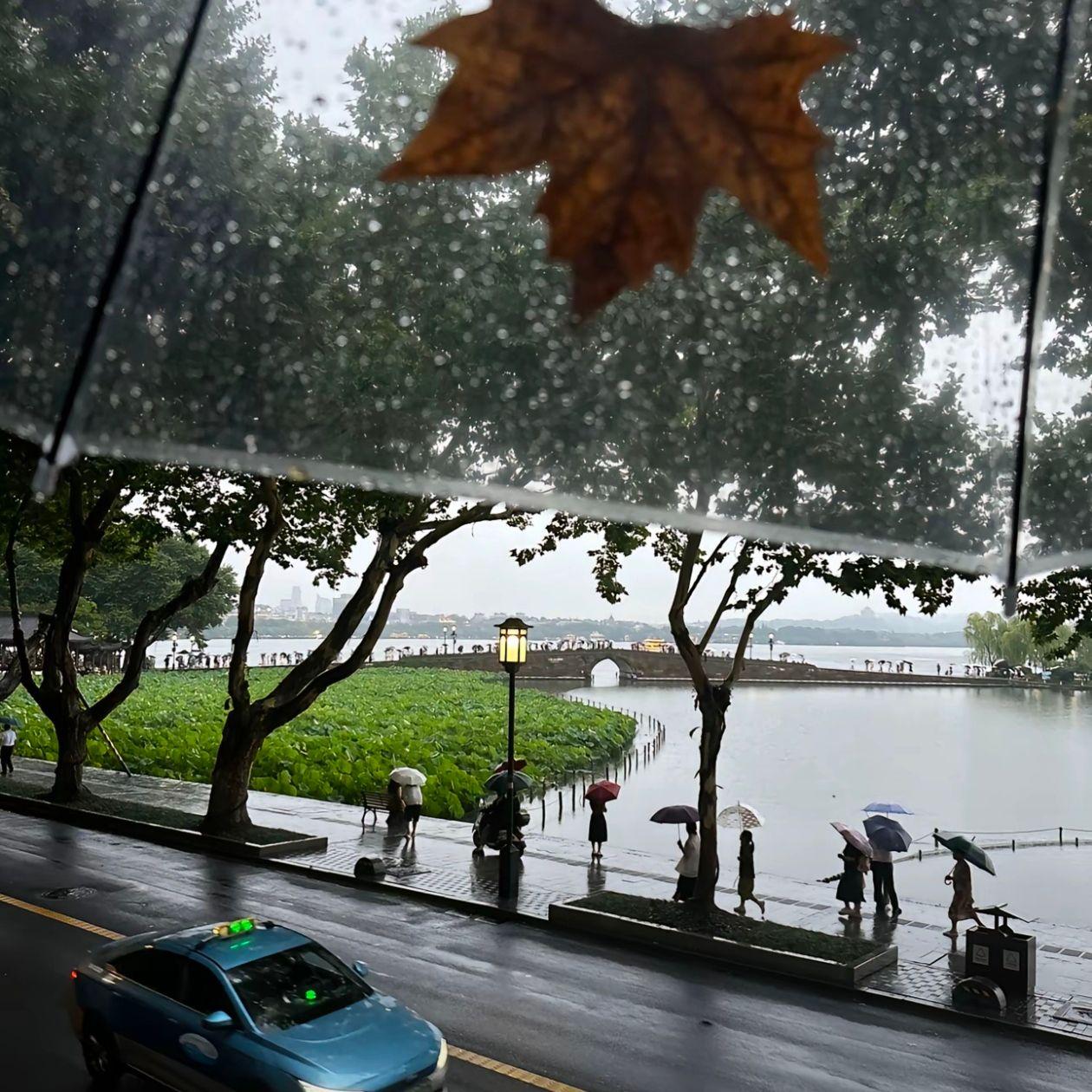 MISTERK-我撕裂我的身体（纯享）（白沢 remix）