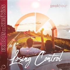 Losing Control (Radio Edit)