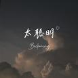 太聪明