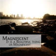 Magnificent