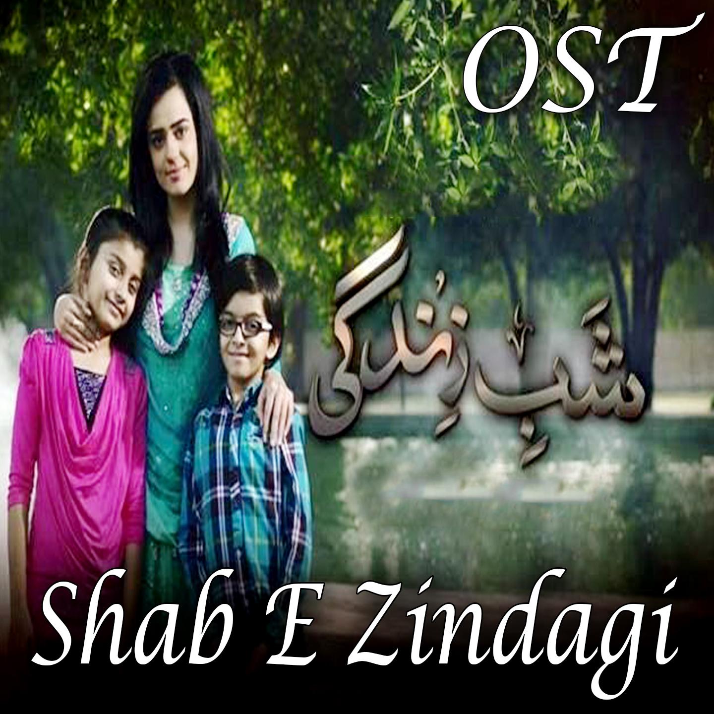 Shab E Zindagi (From "Shab E Zindagi")