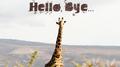 Hello, Bye...专辑