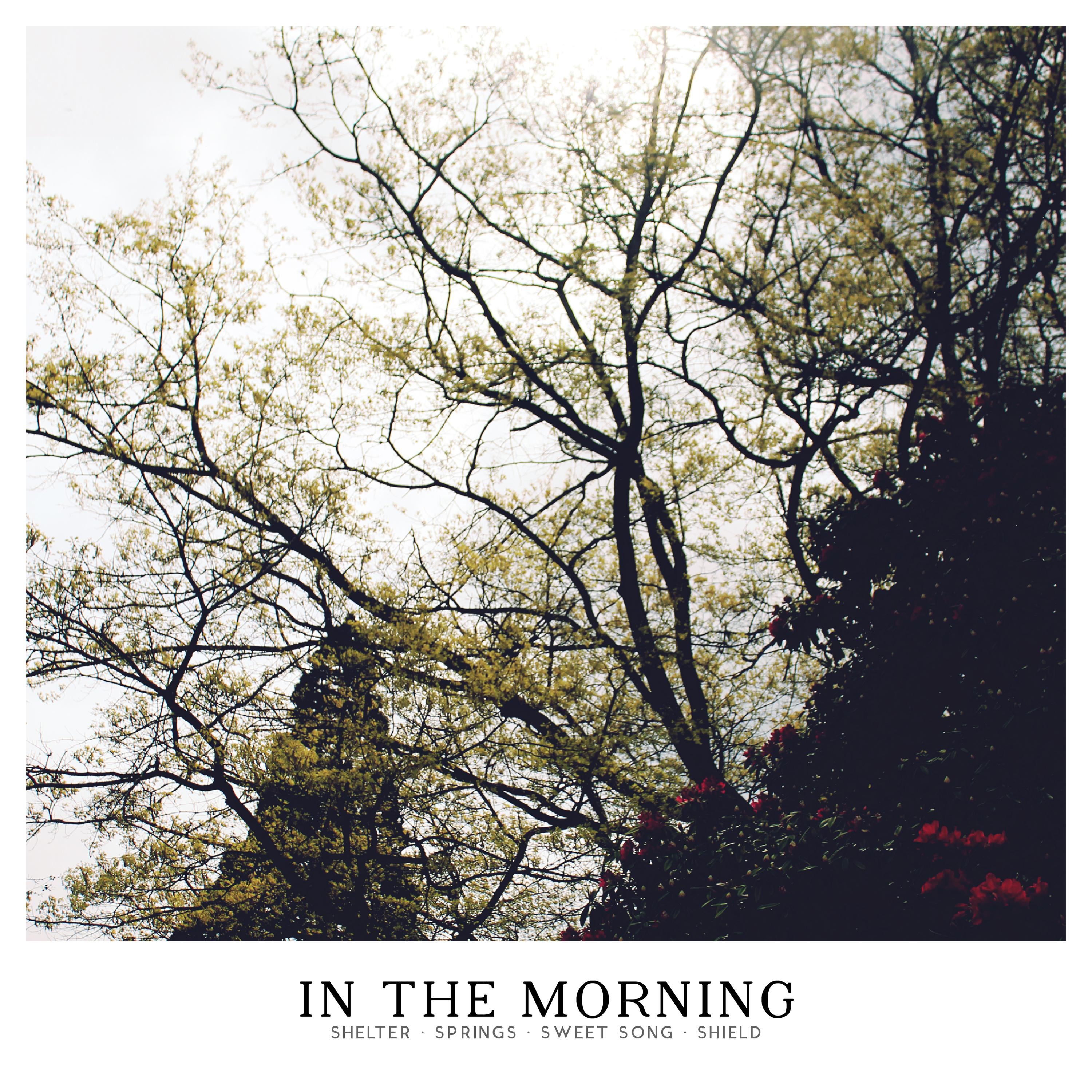 In the Morning