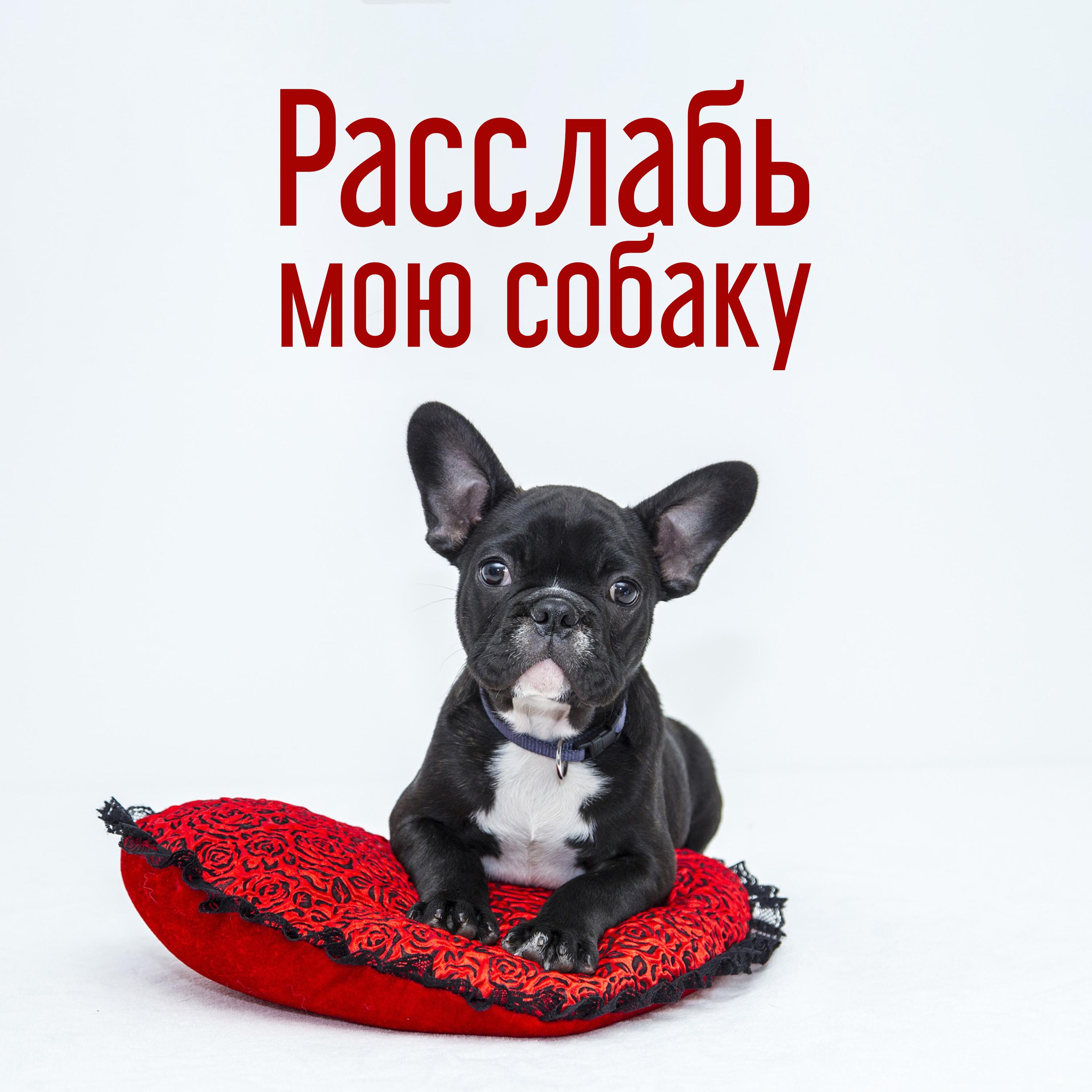 Реплик известных брендов-supreme,высококачественнаярепликаженскогокожаногокошелька