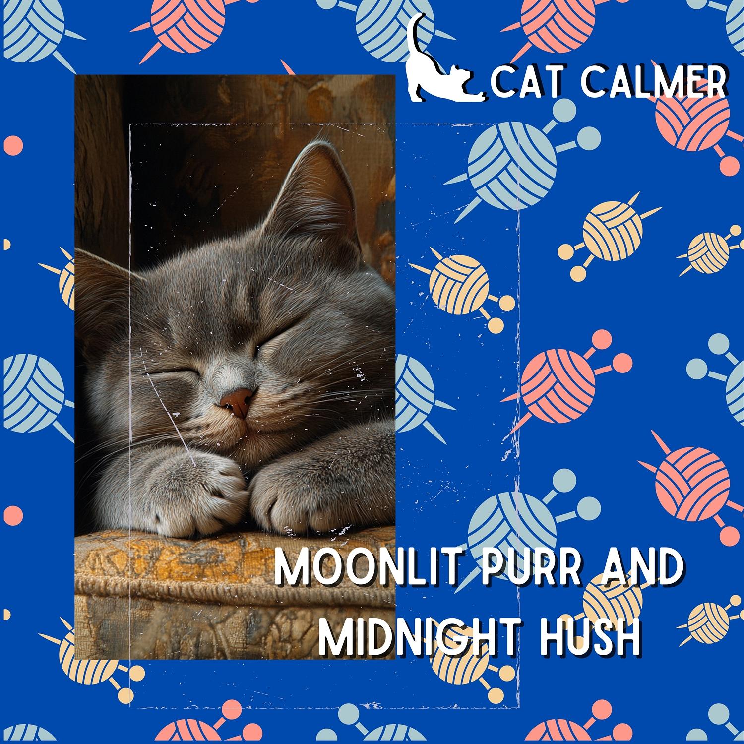 Lullaby Land for Cats - Cat Calmer - 单曲 - 网易云音乐