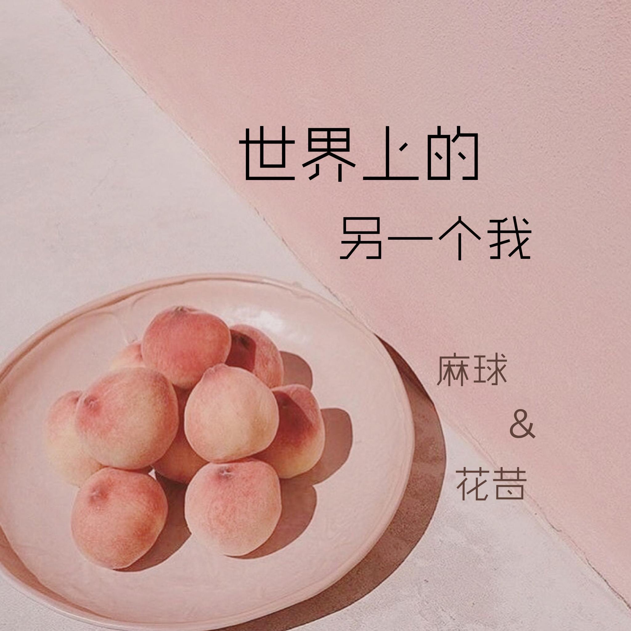 世界上的另一个我专辑