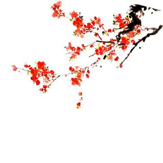 好听到炸裂的古风歌曲合集