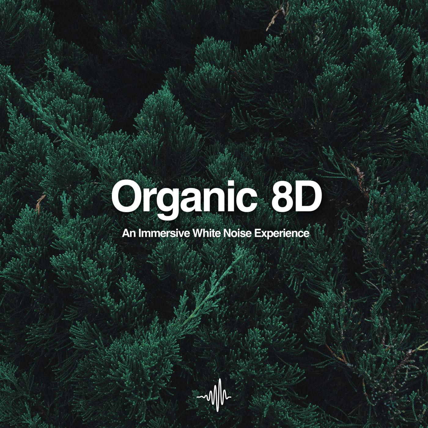 Organic 8D - White Noise Nature Sounds for Sleep and Relaxation