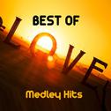 Best of Love Medley: 'Cause I Love You / All You Need Is Love / La vie en rose / I'm Your Angel / Ta专辑