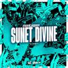 DJ MST7 - Montagem Sunet Divine