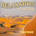 Relaxation - Fortune专辑