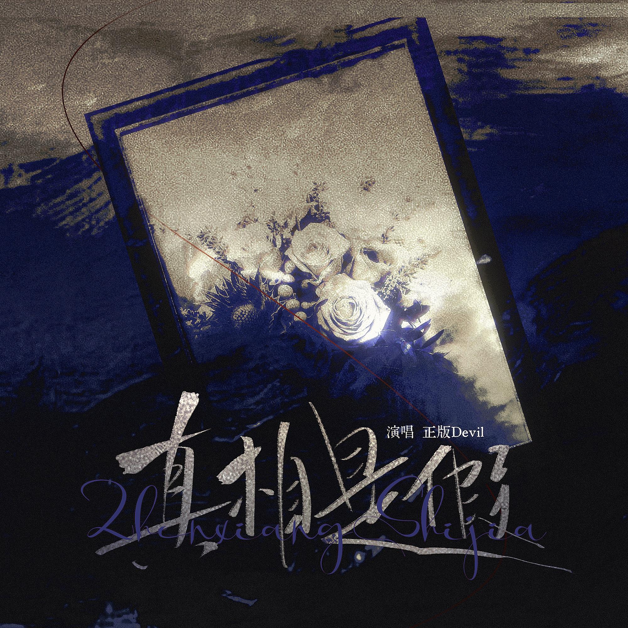 【真相是假·入圈十周年纪念曲三】