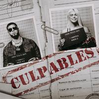 Karol G&Anuel Aa-Culpables 伴奏