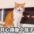 拜个晚年