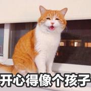 拜个晚年