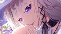 #83【星穹铁道新春会】专辑