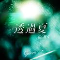 透過夏专辑