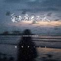 爱伤透恨不休(DJ豪大大版）专辑