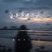 爱伤透恨不休(DJ豪大大版）