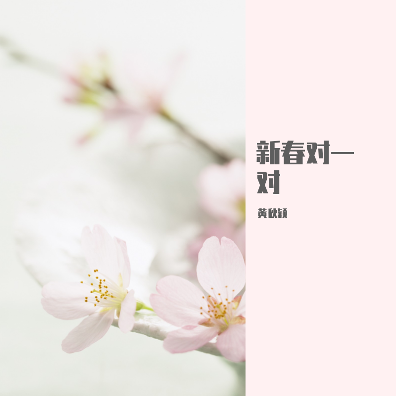 新春对一对