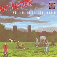 Broken Wings - Mr. Mister (unofficial Instrumental)