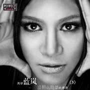 没那么简单的声音