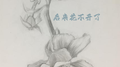 后来花不开了专辑