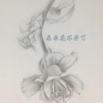 后来花不开了专辑