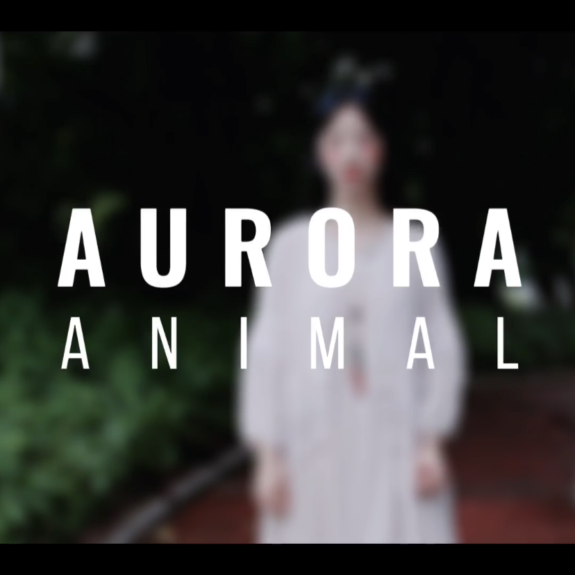 Animal