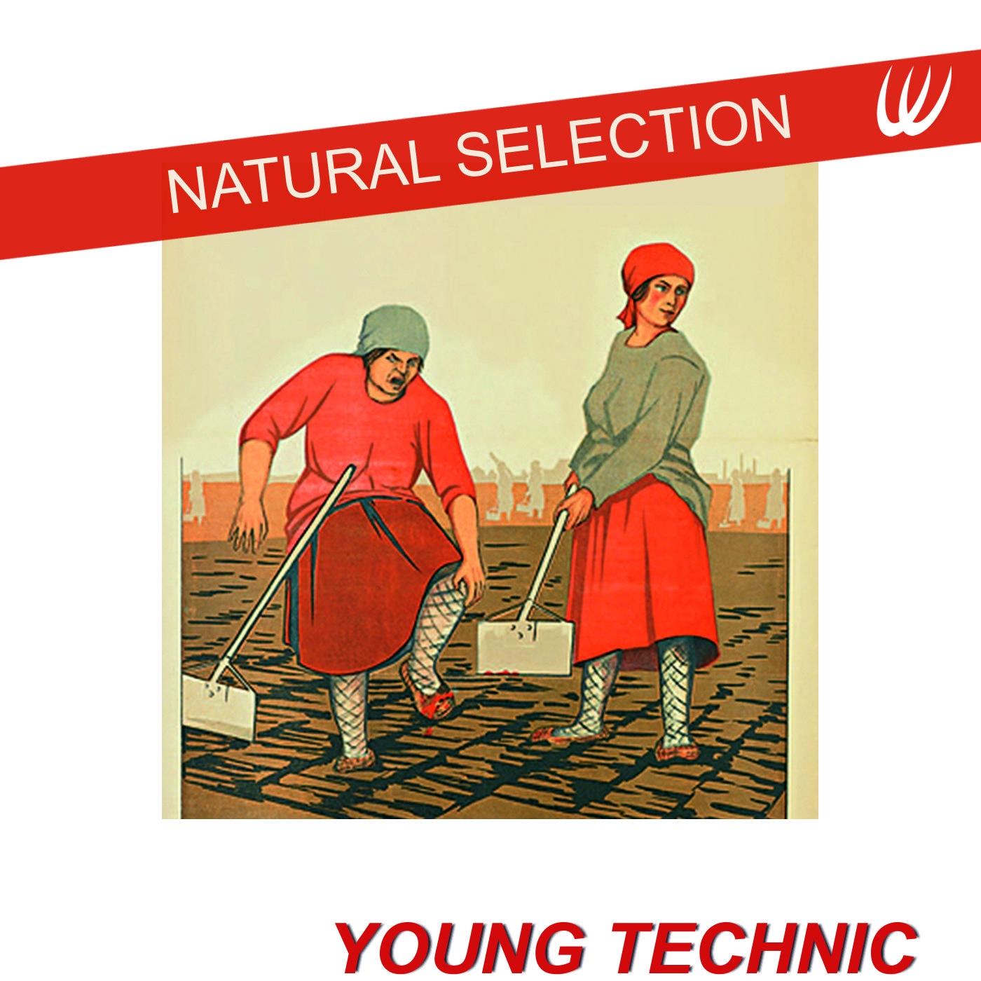 Natural Selection